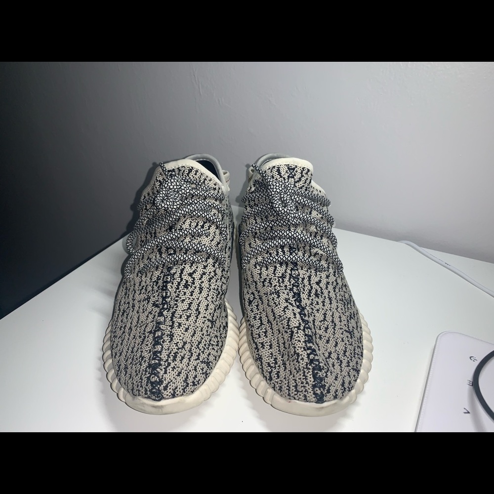 Yeezy 350 turtle dove